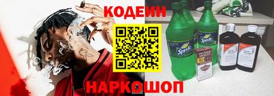 индика Гусев