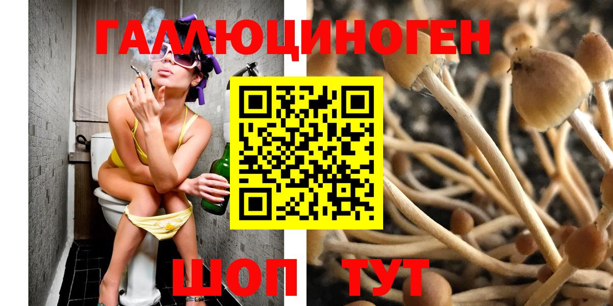 Псилоцибиновые грибы Cubensis  Псилоцибиновые грибы мицелий  Владивосток  продажа наркотиков  Вход с VPN 